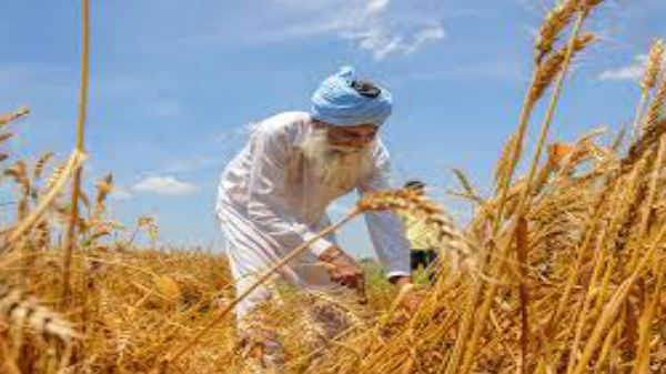 சற்று விரிவாகப் பார்ப்போம்.