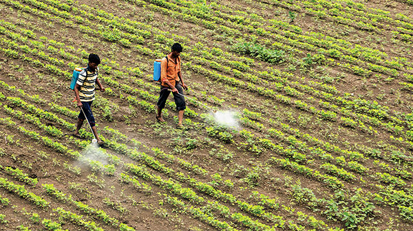  பயிர் காப்பீட்டுத் திட்டம் பற்றி இந்த செயலியில் தெரிந்