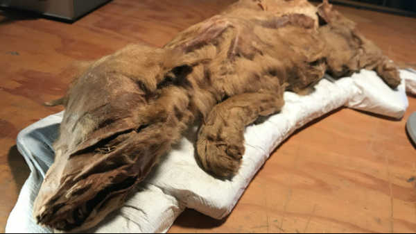 வெளியான திடுக்கிடும் உண்மைகள் 