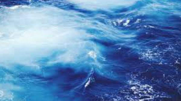 அந்த 4 பேரும் திருச்சூரில் உள்ள ஒரு 