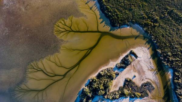 உள்ளிட்ட பல்வேறு நிறங்களை 