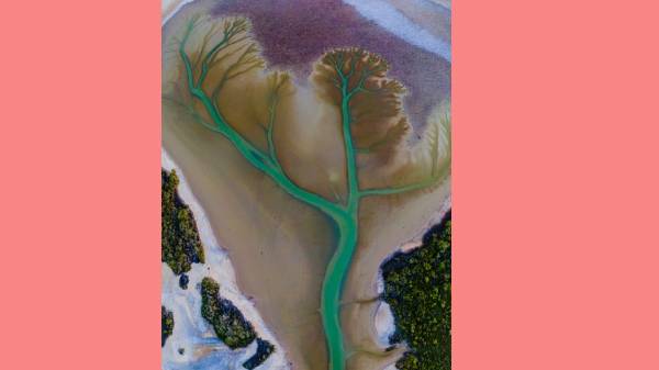 ஆஸ்திரேலியாவின் புரூம்ஸ் கடற்கரை 