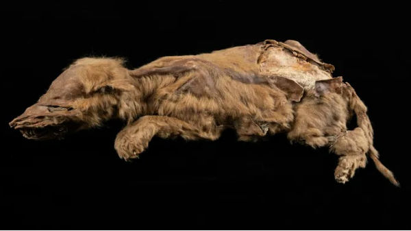 அதிநவீன தொழில்நுட்பத்தைப் பயன்படுத்தி ஆராய்ச்சி 