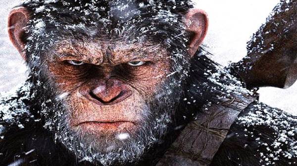 தலைமுடியைவிட சிறய கம்யூட்டர் சிப்