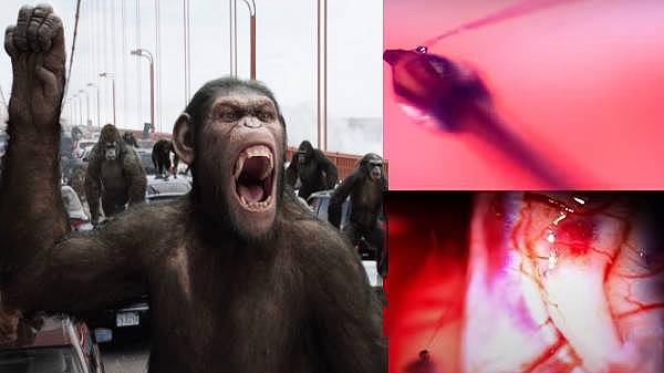 2 மாதங்களாக ஆய்வு