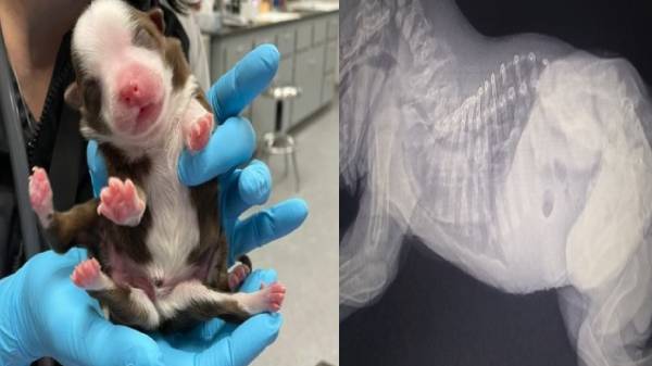 பூரிக்க வைக்கும் விஷயங்கள்