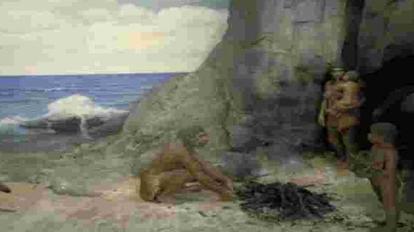 ஆய்வு ஆசிரியரின் தகவல்