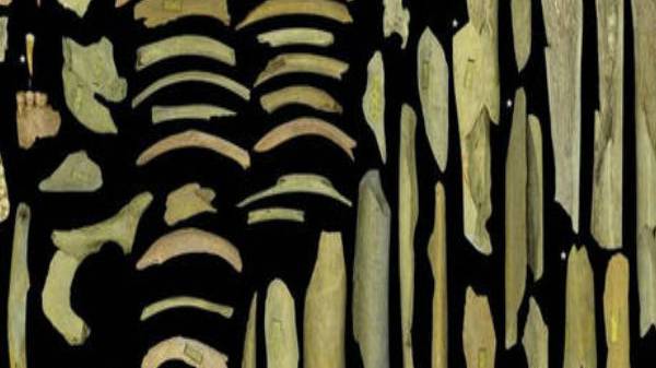 ஐரோப்பா, ஆசிய வாழ் மக்களிடம் சோதனை