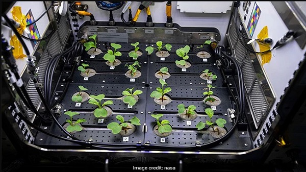 விண்வெளியில் சிறிய அளவில் விவசாயம்