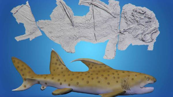 ஒன்றன்பின் ஒன்றாக வெளிவந்த பல திடுக்கிடும் தகவல்கள்