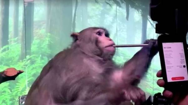 மனிதர்களால் இயக்க முடியும்