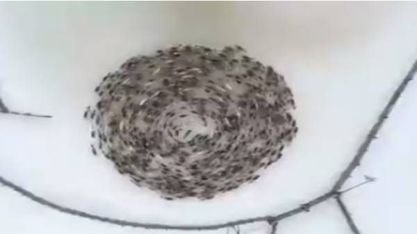 அதிர்ச்சியூட்டும் சிறந்த சம்பவம்