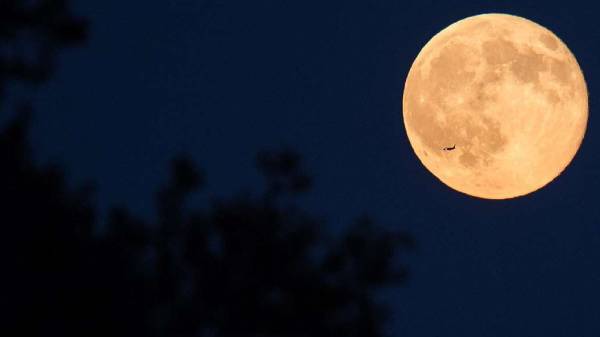 பேகமிடம் இதைப் பற்றி கூறியுள்ளார்.