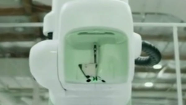 போங்க் விளையாட்டு விளையாடும் மூளை