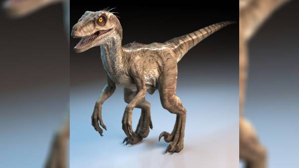 'ஜுராசிக் பார்க்' படத்தில் வரும் ராப்டர் டினோசரா?