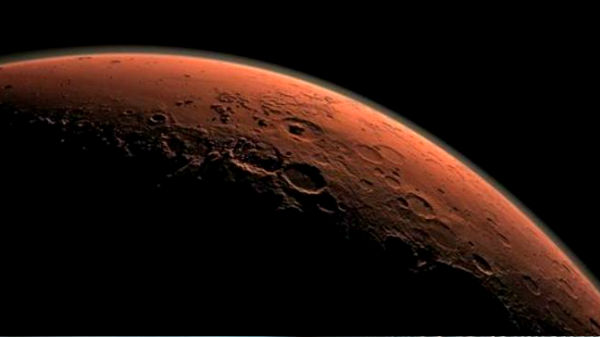 ஆற்றலுக்காக ஆக்ஸலேட்டுகள் மற்றும் அசிடேட்டுகள் மூலம் உயிர் வாழும் உயிரினங்கள் 