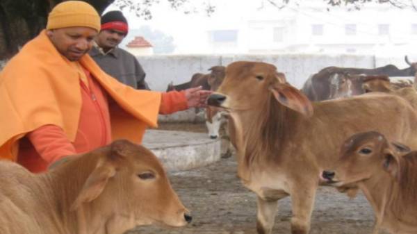 சமூக வலைதளங்களில் கடும் கண்டனம்