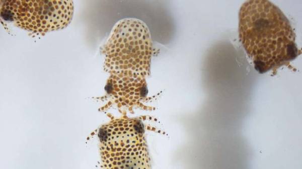  தகவலின்படி,வரும் ஜூன்