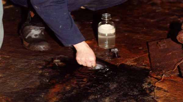 உயிர் இருப்பதற்கான வாய்ப்பு தெளிவாக உள்ளது 