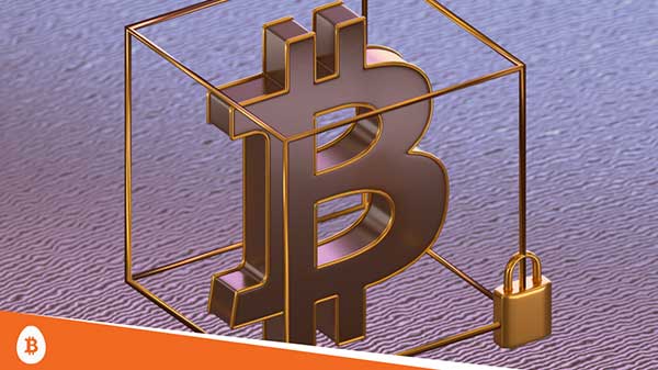 கிர்ப்டோ ஆர்வலர்கள் மகிழ்ச்சி