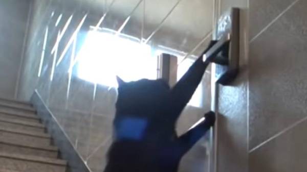 வெளியிடப்பட்ட அந்த