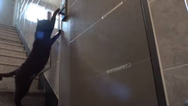 தென்கொரியாவில் உள்ள ஒரு