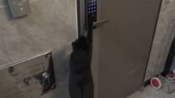 வலைத்தளத்தில் வெளிவந்த