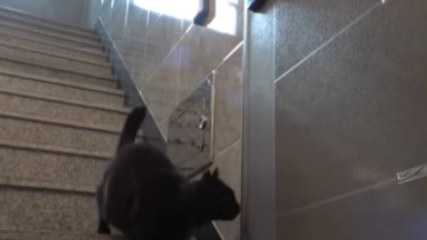 னையின் சேட்டையைக் கண்டு