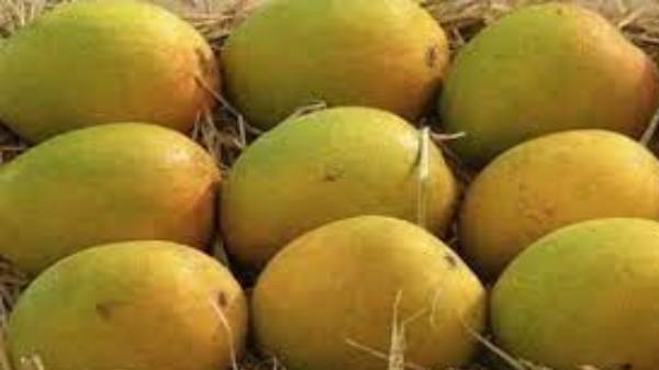  பெண்ணுக்கு ஸ்மார்ட்போன்