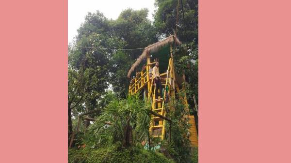 மாமரத்தையே வகுப்பாக மாற்றியுள்ளா