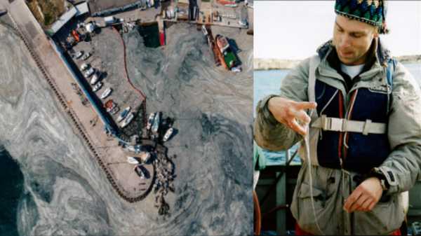 மனிதர்கள் செய்த தவறினால் புது உருவம் எடுத்துள்ள கடல் சளி