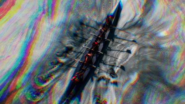 கடல் முழுவதும் பரவி வரும் சீ ஸ்நாட் - அவசரக் கால நடவடிக்கை 