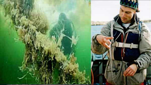 கடலுக்குக் கூட சளி பிடிக்குமா? என்னப்பா சொல்றீங்க?