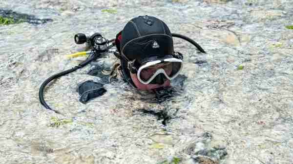 கடலில் வேகமாக பரவி வரும் 'சீ ஸ்நாட்' (sea snot) அல்லது கடல் சளி 