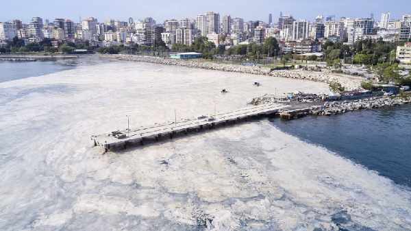 செத்து மிதக்கும் உயிர்களால் தொற்று பரவும் வாய்ப்பு 