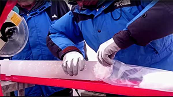 வைரஸ்கள் மீண்டும் பூமியைப் புரட்டிப் போடாமல் இருந்தால் சரி