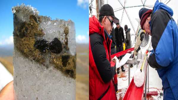 15,000 ஆண்டுகள் பழமையான வைரஸ்கள் சீனாவில் கண்டுபிடிப்பா?