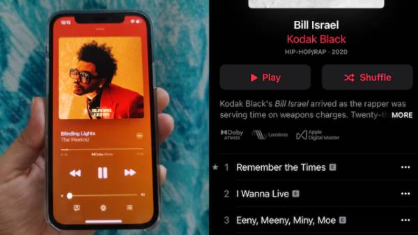 லாஸ்லெஸ் அம்சம் எந்த சாதனத்தில் எல்லாம் இணக்கமாகும்? அடிப்படைத் தேவைகள் என்ன?