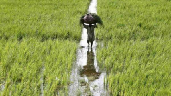 2025 ஆண்டில் அதிகளவு அதிகரிக்கும் ஸ்ட்ரீமர்கள்