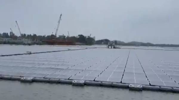 சூரிய மின் உற்பத்தி பேனல்கள்