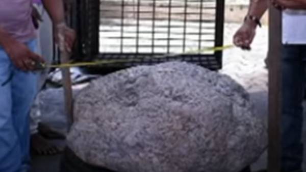 நட்சத்திர நீலக்கல் எடை சுமார் 510 கிலோ 