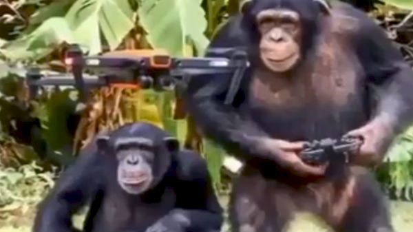 உச்சக்கட்ட வதந்தி