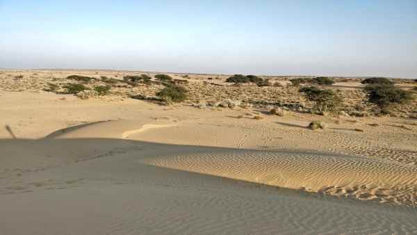 நூற்றுக்கணக்கான தோட்டங்கள்