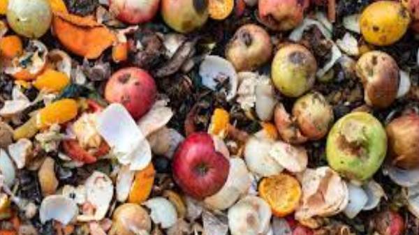 வகங்கை நகராட்சி ஆகிய பகுதிகளில்