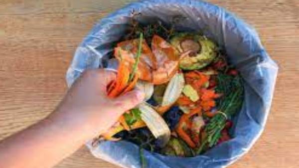 ட வைத்துள்ளது என்ப