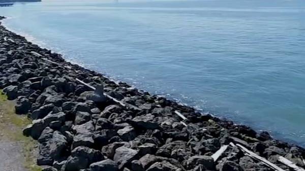 றிப்பாக 3 மீட்டர் அளவு நீருக்குள் 