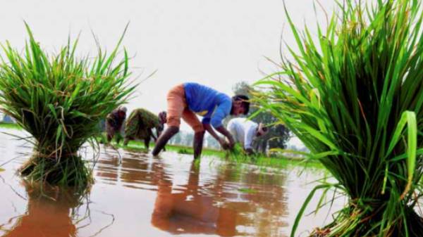 42 டிகிரி செல்சியஸ் வரை வெப்பநிலை