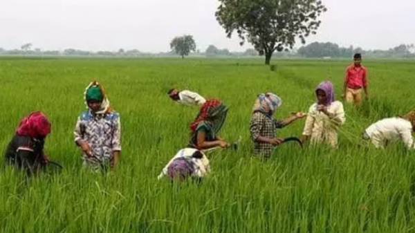 விவசாயிகளின் சிறந்த தொழில்நுட்பங்கள்