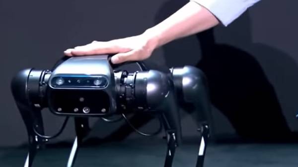 சைபர் டாக் ரோபோ அறிமுகம்