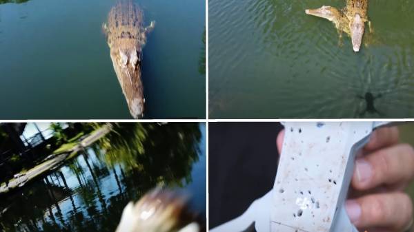  ஆஸ்திரேலியாவில் படம் பிடித்த